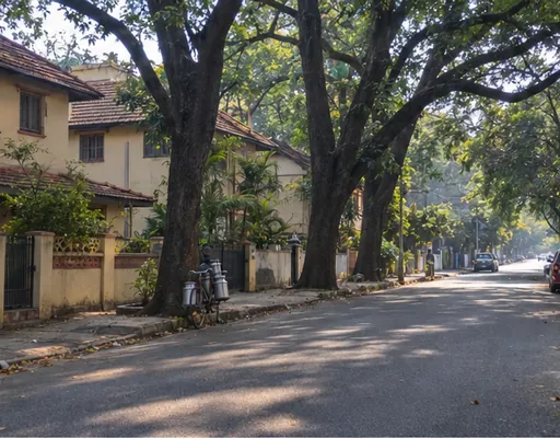 Quiet old road under big trees in Basavanagudi